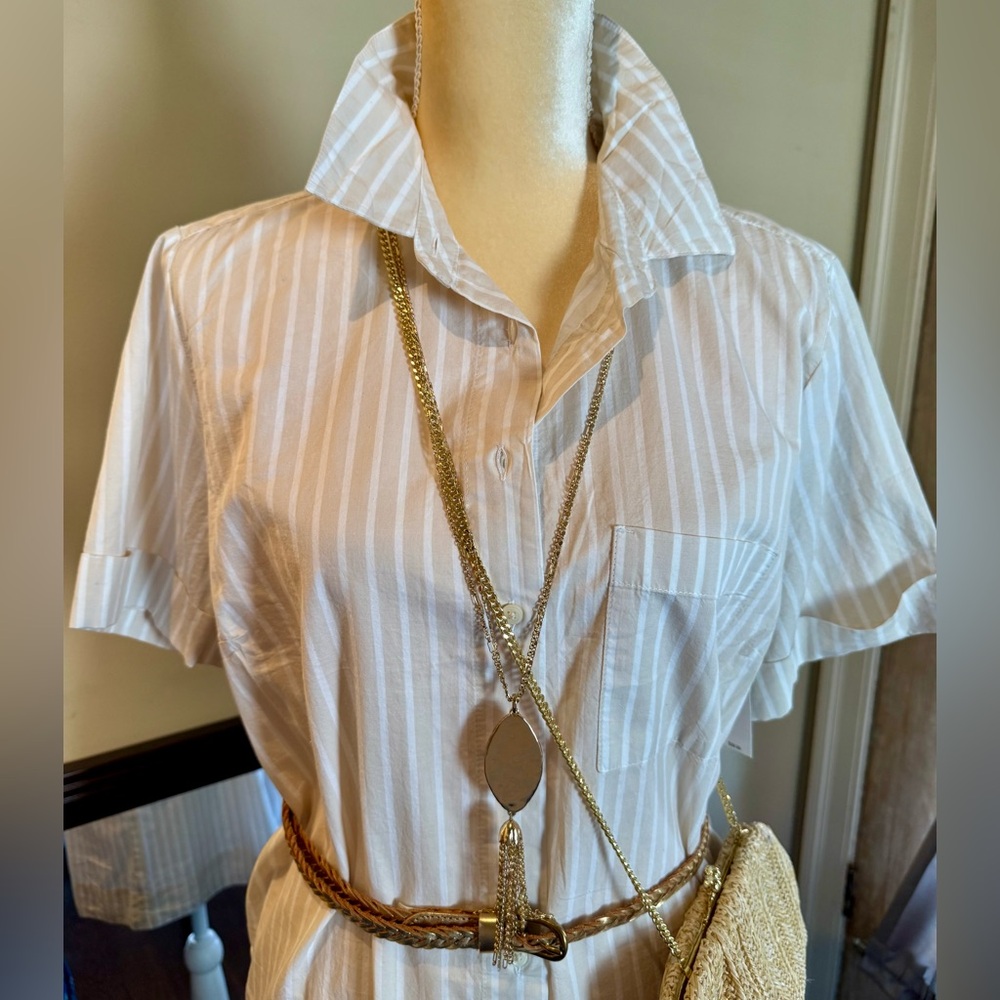 Striped White Shirt Dress - Picture 8 of 15